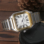 Santos Gold - Silver
