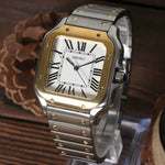 Santos Gold - Silver